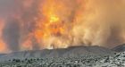 US heatwave: Wildfires rage in western states as temperatures soar