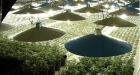 RCMP bust Chilliwack's largest-ever marijuana growing operation
