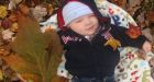 Guinness record for largest oak leaf held by Ont. boy