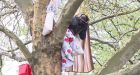 Treetop asylum: Refugee vows to �stay up� against the Berlin �colonial� system