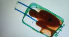 Ivory Coast boy smuggled to Spain inside suitcase
