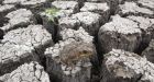 El Nino weather system appears for 1st time since 2010